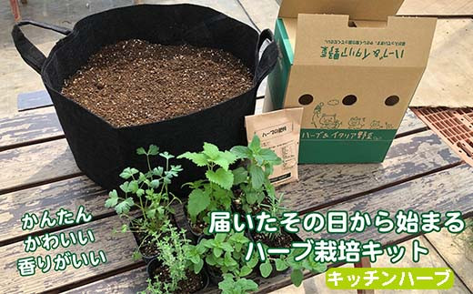 ハーブ栽培セット 届いたその日から始められる キッチンハーブ 羽生市羽生市 ふるさと納税 ふるさとチョイス