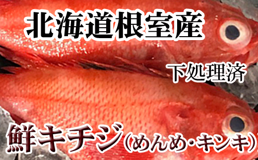 【北海道根室市】E-36005【年内配送可】 【北海道根室産】キチジ(キンキ・めんめ)×7〜11尾(下処理済)