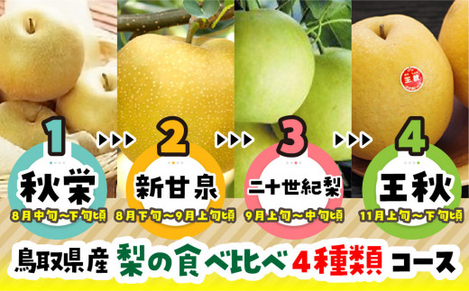 91.数量限定【定期便】鳥取県産 梨の食べ比べ 4種類コース - 鳥取県