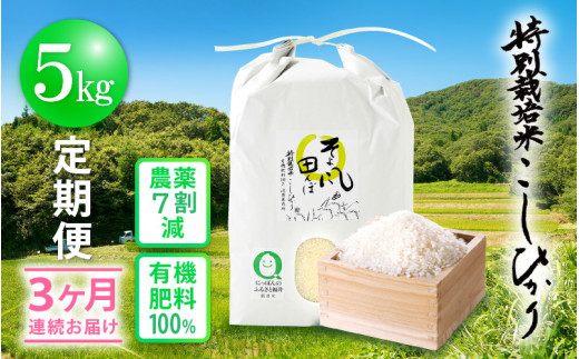 e10-c001] 米 定期便 ≪3ヶ月連続お届け≫ 特別栽培米 コシヒカリ 5kg