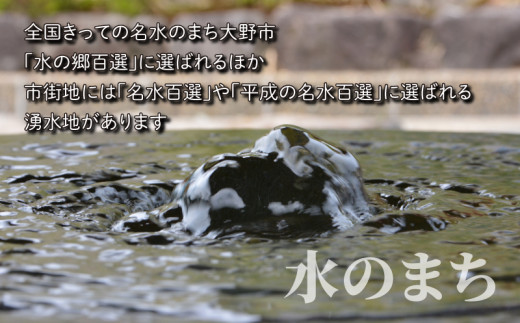 【令和5年産 新米】【12ヶ月定期便】こしひかり 5kg×12回 計60kg【白米】「エコファーマー米」水のまちのお米