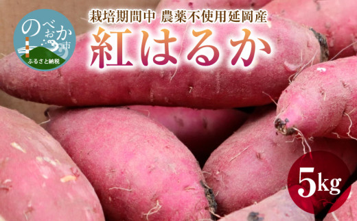 延岡市のお礼の品情報 ふるさと納税 ふるさとチョイス