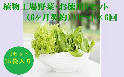 5-03 植物工場産野菜・お徳用６セット（６ヶ月契約）１セット×6回