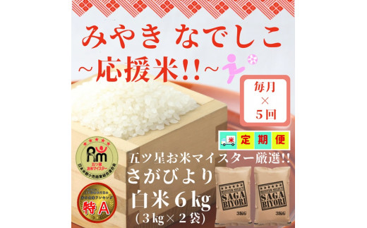 CI396【みやきなでしこ】応援米【５回定期便】さがびより白米６kg（３kg×２袋）