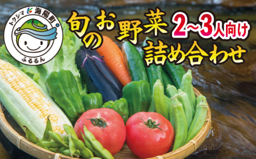 【徳島県海陽町】SGN28　阿波の国海陽町　旬のお野菜詰め合わせセット２-３名様向け