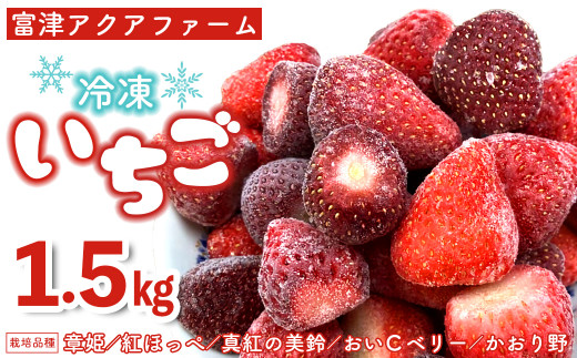 【千葉県富津市】富津アクアファーム　完熟冷凍いちご1.5kg