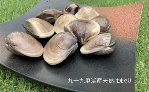 yt\㗢z͂܂ t \㗢Y VR͂܂ 2.5kg L CN CY C̍K   Y Y ͂܂ o[xL[ BBQ z Y VR n}O  i\