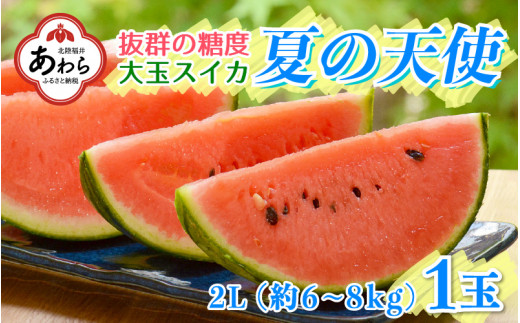 先行予約 大玉スイカ 夏の天使 1玉入 2l 約6 8kg 抜群の糖度で甘い 期間限定 果物 フルーツ 西瓜 産地直送 23年7月上旬より順次発送 福井県あわら市 ふるさとチョイス ふるさと納税サイト