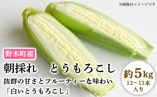 C02野木町産朝採れとうもろこし約5kg 白いとうもろこし 12 13本入り 栃木県野木町 ふるさとチョイス ふるさと納税サイト C02野木町産朝採れとうもろこし約5kg 白いとうもろこし 12 13本入り 栃木県野木町 ふるさとチョイス ふるさと納税サイト