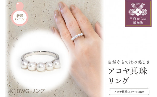 yRb{szyTCYF13.5zq b{WG[ rK18WG@AR^@O(#1F03013109)