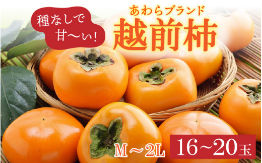 【先行予約】越前柿 16～20玉入 M～2L 《種なしで食べやすく甘い