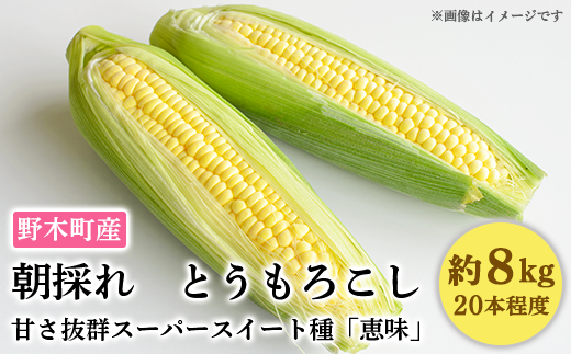 C07野木町産朝採れとうもろこし約8kg 恵味 本入り 栃木県野木町 ふるさと納税 ふるさとチョイス