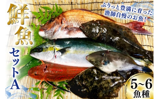 漁師さんの鮮魚セットA 5～6魚種《5月後半～1月前半お届け》 [FishMarket38 宮城県 気仙沼市 20564253] 期間限定 産地直送  旬 魚介 魚 さかな 詰め合わせ - 宮城県気仙沼市｜ふるさとチョイス - ふるさと納税サイト