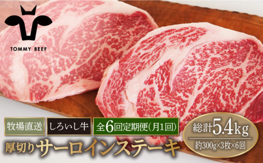 【牧場直送】【6回定期便】佐賀県産 しろいし牛 厚切り サーロインステーキ 900g（約300g×3枚）【有限会社佐賀セントラル牧場】 [IAH155]