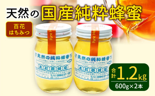 本石養蜂場 天然の純粋 蜂蜜 合計1200g 百花はちみつ 600g×2本 - 宮崎