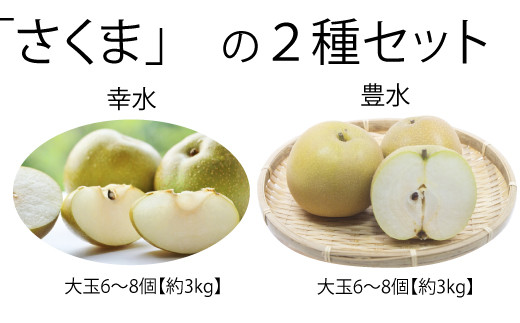 【茨城県笠間市】DX-6 さくまの旬の梨2種セット(幸水・豊水)