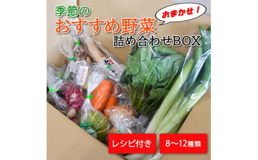 【宮城県丸森町】季節のおすすめ野菜おまかせ詰め合わせBOX 8種?12種類 通常サイズ 野菜セット【16001】