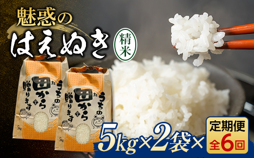 令和5年産 はえぬき 精米 10kg（5kg×2） 22年連続特A受賞 米 お米