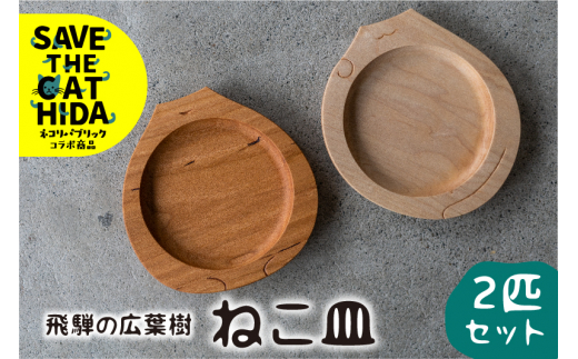 美品 素粒子プレート② 純正早割 | cult.cohorted.co.uk