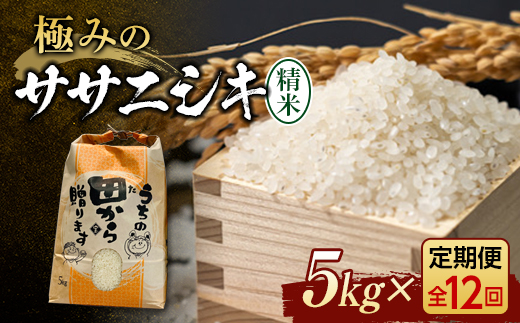 先行予約》『定期便』令和5年産米 極みのササニシキ（精米）5kg 全12回