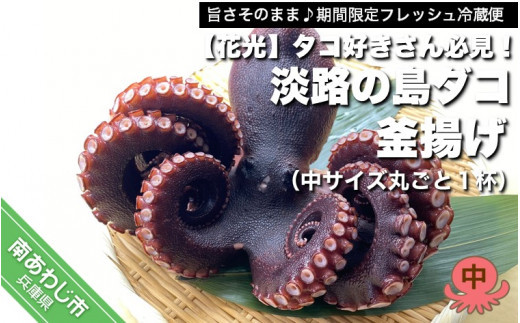 yɌ삠킶szy|̂܂܁ԌtbV①ցz^RDKIWH̓_RgiTCYۂ1tj