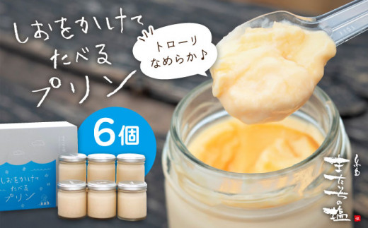 お中元対象 しおが主役 しおをかけてたべる プリン 花塩 プレーン 6個 セット 糸島 またいちの塩 Aeb001 福岡県糸島市 ふるさと納税 ふるさとチョイス