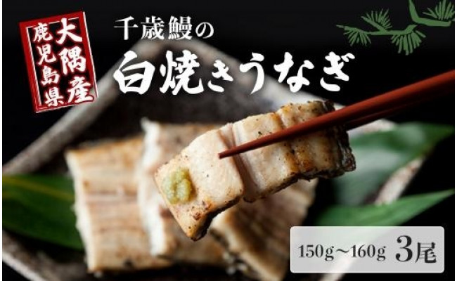 市場 ふるさと納税 国産うなぎの白焼き特大3匹セット