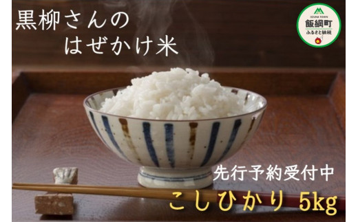 飯綱町の美味しい お米 5kg × 12回 【 12か月 定期便 】( 品種は