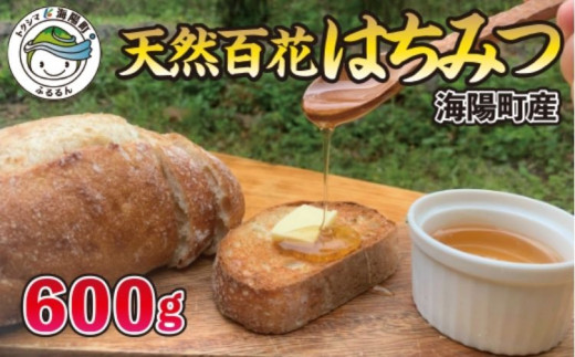 サンプル写真