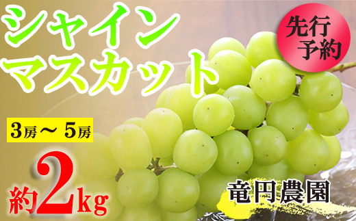 数量限定】先行予約シャインマスカット約2kg(3~5房) 2EA1 - 福岡県川崎