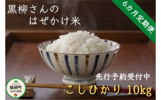 1413]【令和4年度収穫分】こしひかり 10kg×6回【6カ月定期便】 ※沖縄