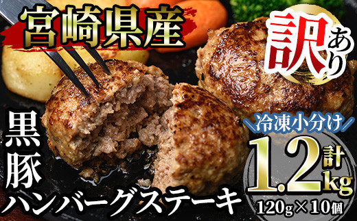 MI104 【訳あり】宮崎県産黒豚ハンバーグステーキ(120g×10個・計1.2kg