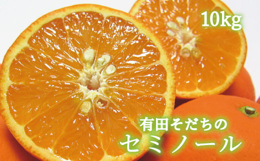 【和歌山県北山村】【2023年4月発送】有田育ちの爽快セミノールオレンジ(ご家庭用)　約10kg