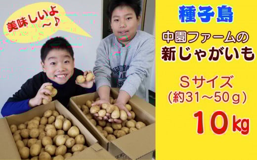 yV\szy s\ z 2026N n q t@[ VႪ STCY 10kg@NFN397y350ptz