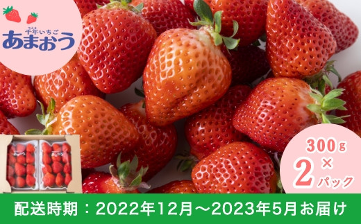 E115 千年いちご あまおう (300g×2パック) 12月~5月お届け - 福岡県