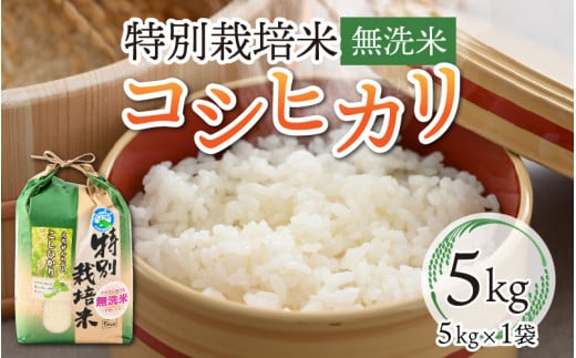 令和6年産 新米 特別栽培米コシヒカリ 5kg ×1袋（無洗米） [A-005002] - 福井県勝山市｜ふるさとチョイス - ふるさと納税サイト