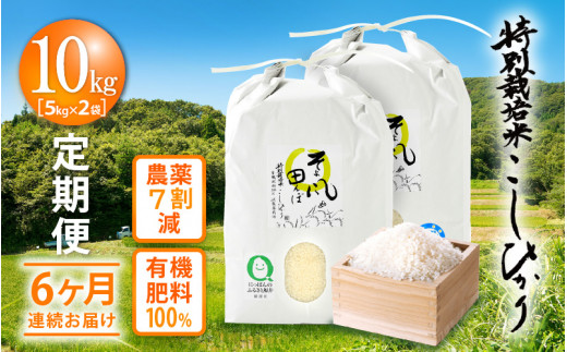米 定期便 ≪3ヶ月連続お届け≫ 特別栽培米 コシヒカリ 10kg × 3回