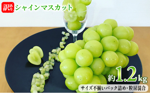 y쌧钬z[5729-0401]󂠂 VC}XJbg 1.2kg ԍʎ Ԃǂ  }XJbg uhE t[c ʕ VCy ʕ z