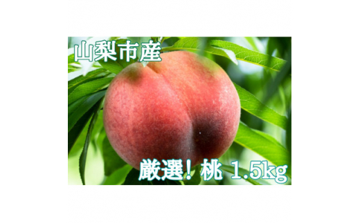 【山梨県山梨市】<2026年先行受付>厳選!山梨市産 桃 約1.5kg(4〜7玉)【1305782】