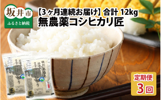 先行予約】【令和5年産新米】【発芽玄米】 無農薬 福井県産 コシヒカリ