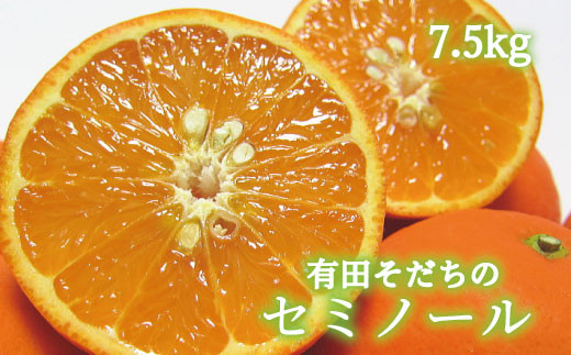 【和歌山県太地町】【2023年4月発送】有田育ちの爽快セミノールオレンジ(ご家庭用)　約7.5kg