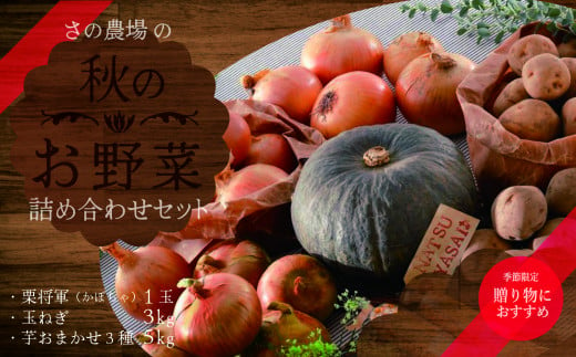 【北海道津別町】秋のお野菜詰め合わせセット　「ナツやさい」　さの農場/010-22160-b01A