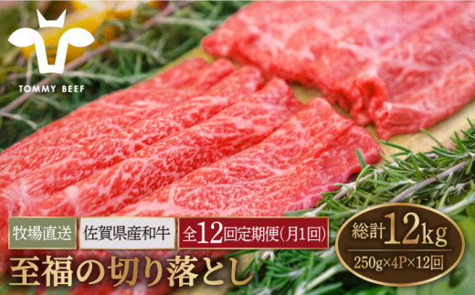 【牧場直送】【12回定期便】佐賀県産和牛 至福の切り落とし 1kg（250g×4パック）【有限会社佐賀セントラル牧場】 [IAH096]