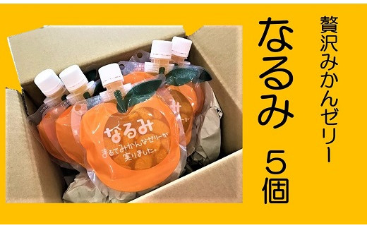 E 巣ごもり生活に太陽の恵み【みかんで免疫アップ】ゼリー「なるみ」5