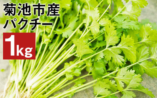 菊池市産 パクチー 1kg コリアンダー 香菜 野菜 - 熊本県菊池市