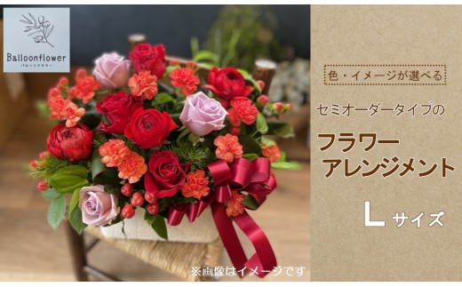 y茧ВzZ~I[_[^Cṽt[AWg@LTCY@y͂wK{z