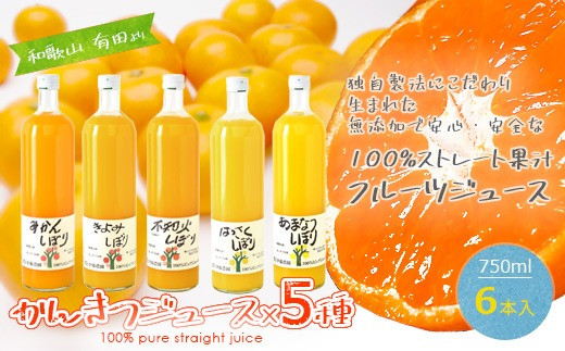 伊藤農園 100%ピュアジュース 大瓶750ml おまかせ6本セット(A224-1)