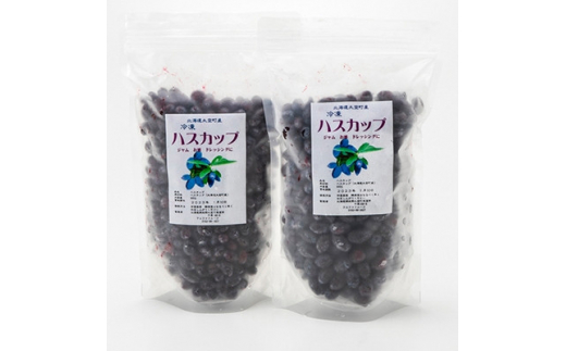 ・サプリに 北海道産 by mmshop｜ラクマ 自然栽培の冷凍ハスカップ3kg(250g×12袋)の通販 もハスカッ