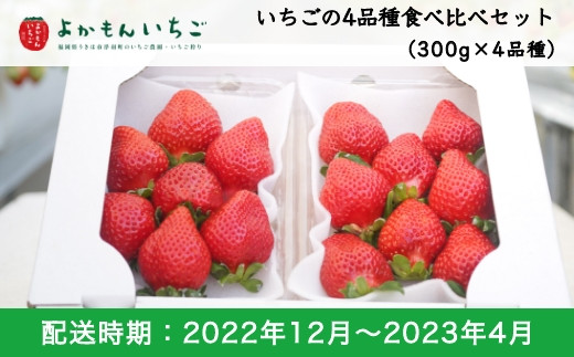 【福岡県うきは市】E103 よかもんいちご４品種食べ比べセット