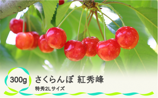 ② 山形県産さくらんぼ 大粒 紅秀峰 【訳あり規格外】2キロ